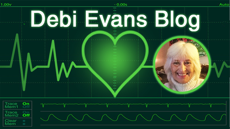 Debi Evans Blog