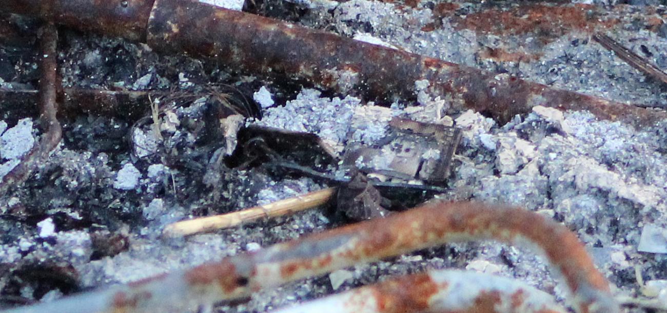 Remains of fire in garden - Shelligoe Road
