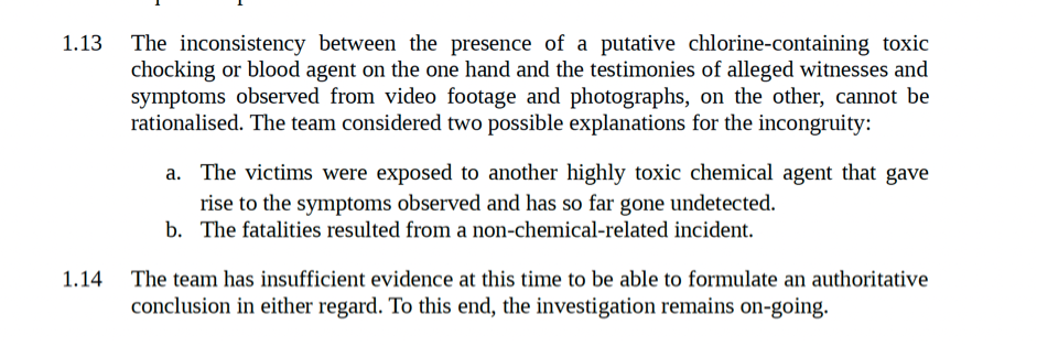 Screenshot from original interim report conclusion
