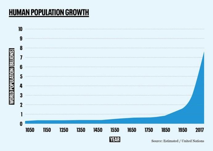 Human population growth
