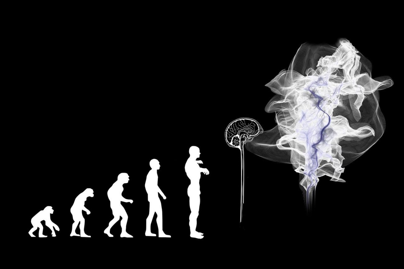 Evolution image, according to Teilhard and Huxley