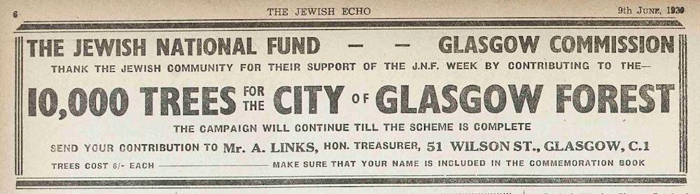 10,000 Trees for Forest