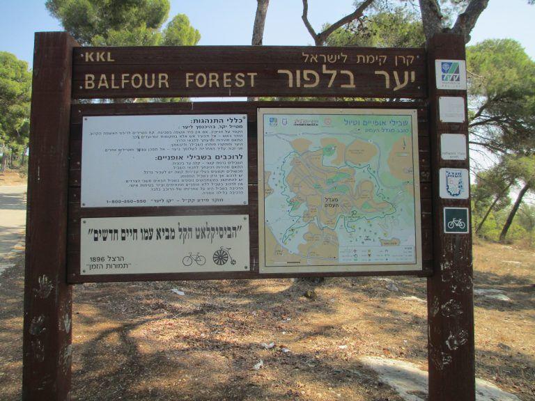 Balfour Forest sign