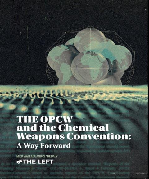 Report issued by MEPs Daly and Wallace in June 2024