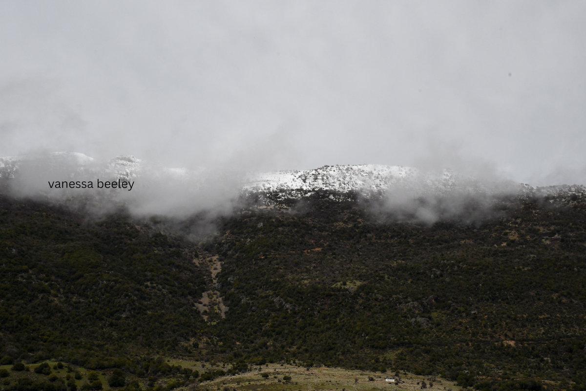 The road to Sohmor. Photo: Vanessa Beeley