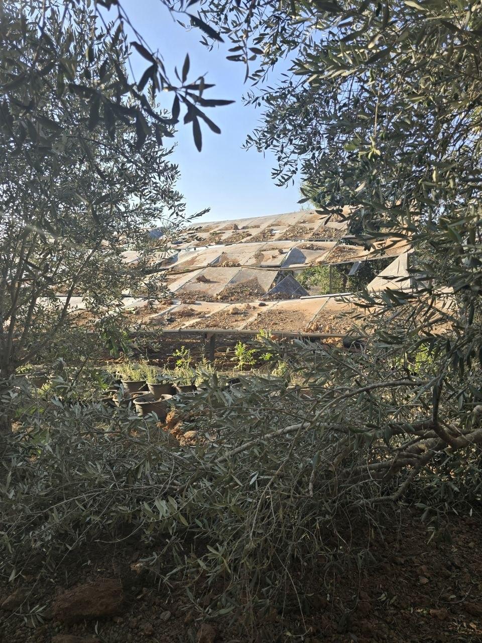 Arab Salim, southern Lebanon. Photo: Roqayah Chamseddine
