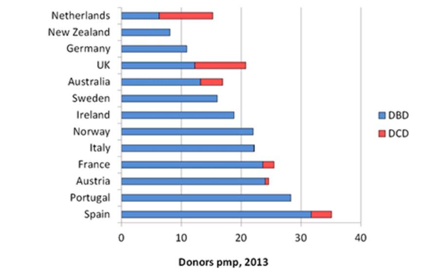 Donors by type of death